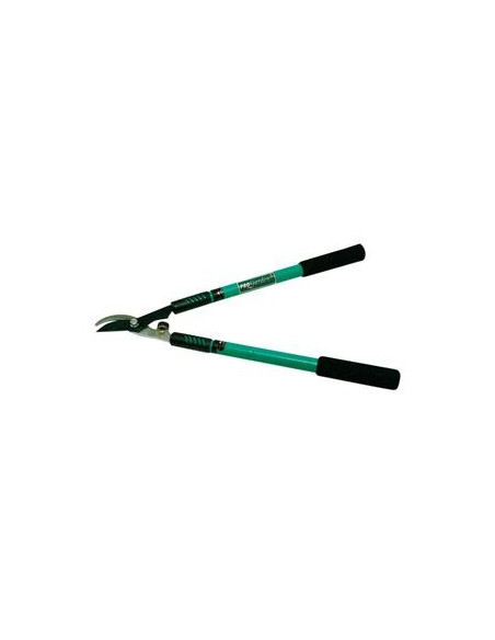 TRONCARAMI MANICI TELESCOPICI RIF.20820 - PROGARDEN Miglior