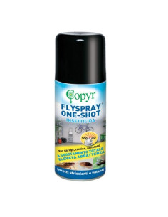 INSETTICIDA VOLANTI STRISCIANTI FLYSPRAY COPYR ML.150 Miglior