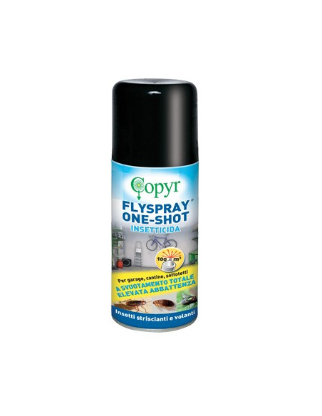 INSETTICIDA VOLANTI STRISCIANTI FLYSPRAY COPYR ML.150 Miglior