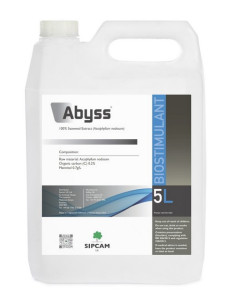ABYSS LT.5 Miglior Prezzo