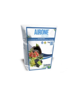AIRONE EXTRA KG.1 Miglior Prezzo