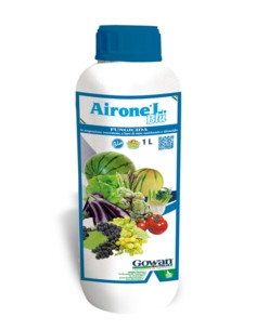 AIRONE PIU' L BLU' LT.1 Miglior Prezzo