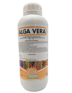 ALGA VERA LT.1 Miglior Prezzo