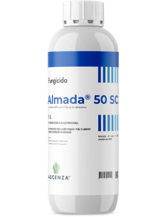 ALMADA 50 SC LT.1 ( FORUM 50 ) - REVOCATO, richiedi Maggiori