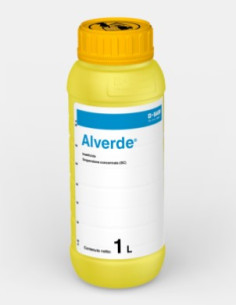 ALVERDE LT.1 Miglior Prezzo