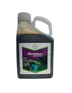 AMBITION AKTIVATOR LT.5 Miglior Prezzo