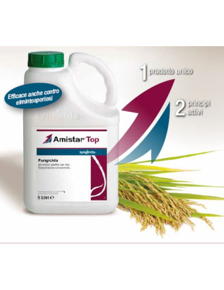 AMISTAR TOP LT.5 Miglior Prezzo