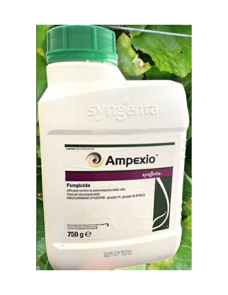 AMPEXIO KG.4 Miglior Prezzo