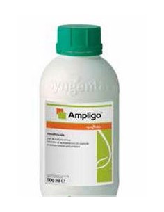 AMPLIGO LT.1 Miglior Prezzo
