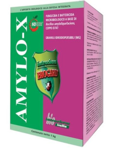 AMYLO-X KG.1 Miglior Prezzo