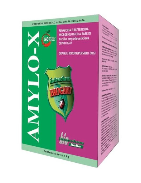 AMYLO-X KG.1 Miglior Prezzo