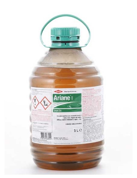 ARIANE II LT.5 Miglior Prezzo