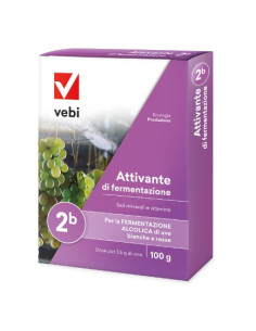 ATTIVANTE DI FERMENTAZIONE GR.100 Miglior Prezzo