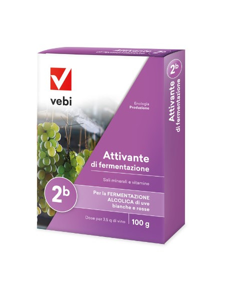 ATTIVANTE DI FERMENTAZIONE GR.100 Miglior Prezzo