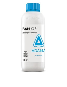 BANJO LT.1 - ZIGNAL Miglior Prezzo