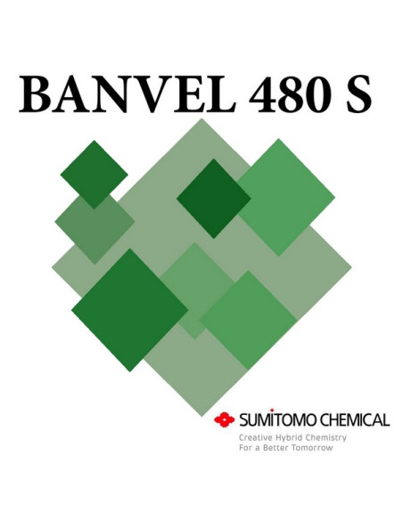 BANVEL 480 S LT.1 Miglior Prezzo