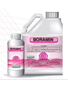 BORAMIN LT.1 Miglior Prezzo