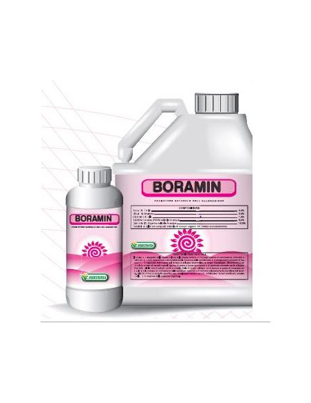 BORAMIN LT.1 Miglior Prezzo