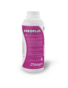 BOROPLUS LT.1 Miglior Prezzo