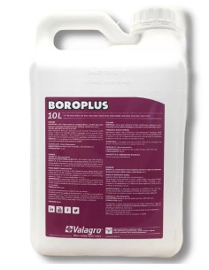 BOROPLUS LT.10 Miglior Prezzo