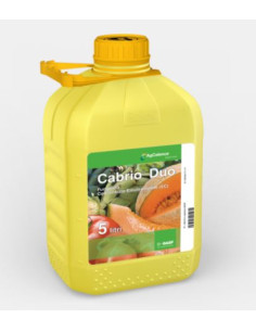 CABRIO DUO LT.5 Miglior Prezzo