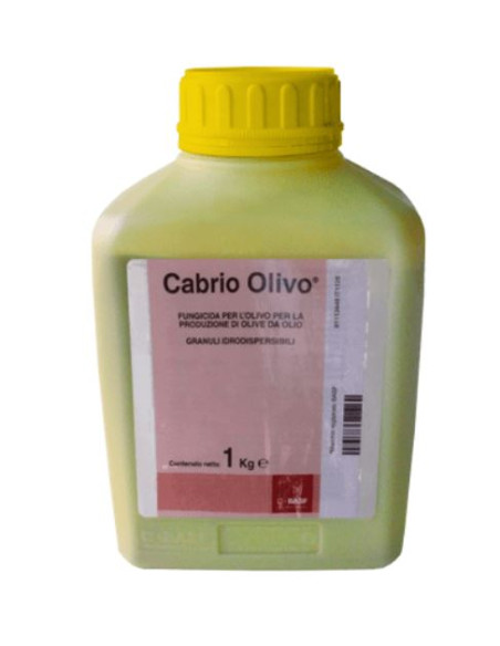 CABRIO OLIVO KG.1 Miglior Prezzo