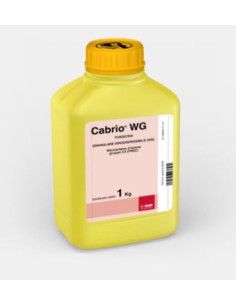 CABRIO WG KG.1 Miglior Prezzo