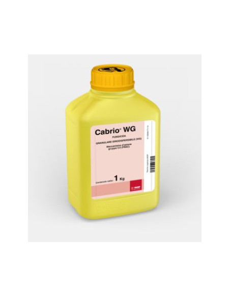 CABRIO WG KG.1 Miglior Prezzo