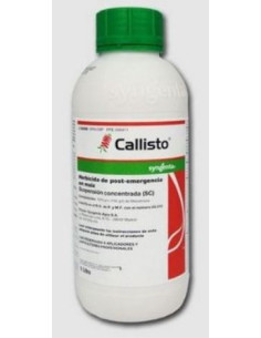 CALLISTO LT.1 Miglior Prezzo