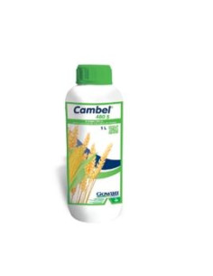 CAMBEL 480S LT.1 Miglior Prezzo
