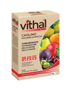 CAOLINO CORROBORANTE POLVERE VITHAL BIO KB KG.1 Miglior Prezzo