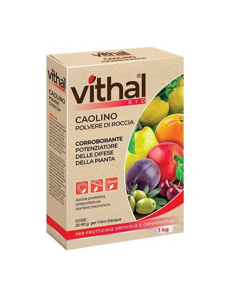 CAOLINO CORROBORANTE POLVERE VITHAL BIO KB KG.1 Miglior Prezzo