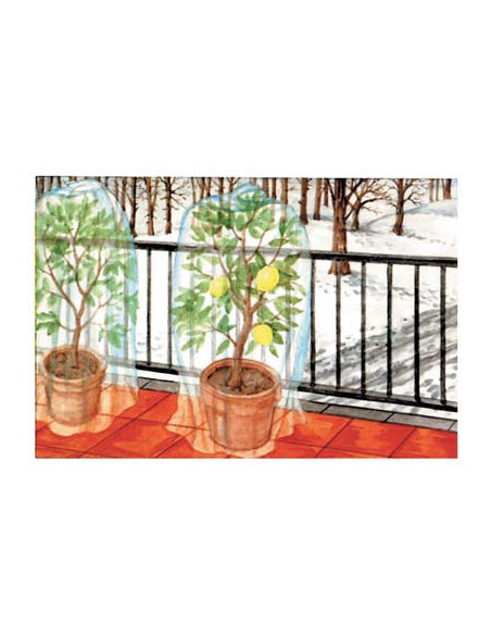 CAPPUCCIO ANTIGELO TNT PROTEZIONE PIANTE STARS H.CM 180 Miglior