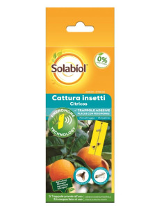 Cattura Insetti Agrumi Miglior Prezzo