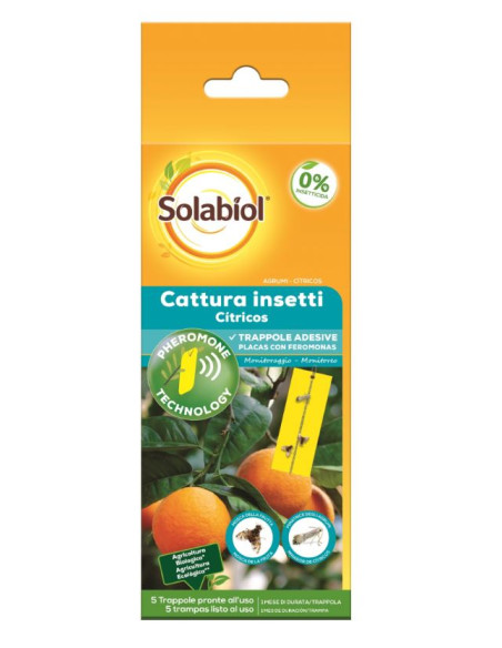 Cattura Insetti Agrumi Miglior Prezzo
