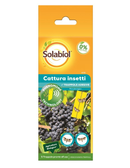 Cattura Insetti Vite Miglior Prezzo