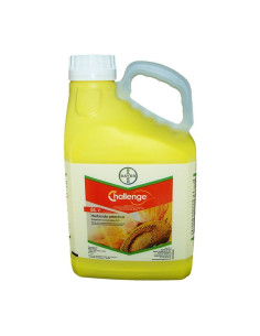 CHALLENGE LT.5 Miglior Prezzo