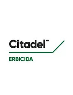 CITADEL ML.100 Miglior Prezzo