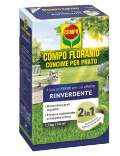 COMPO FLORANID RINVERDENTE KG.3 Miglior Prezzo