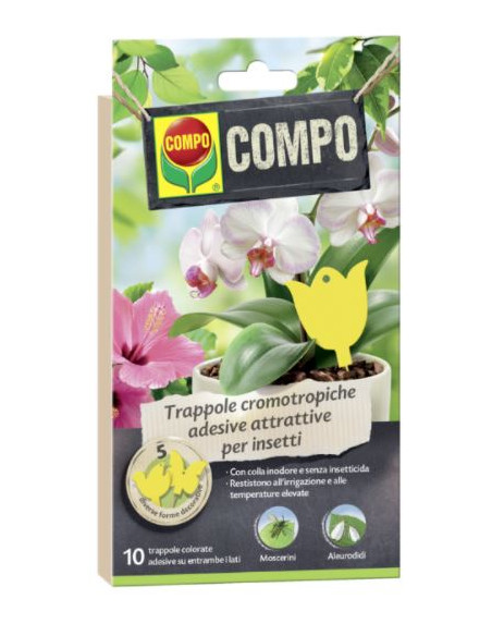 COMPO TRAPPOLE CROMOTROPICHE ADESIVE PZ.10 Miglior Prezzo