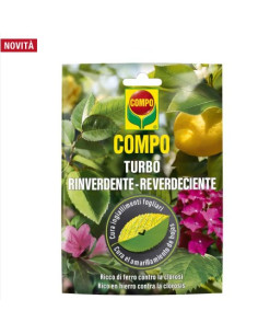 COMPO TURBO RINVERDENTE' GR.20 Miglior Prezzo