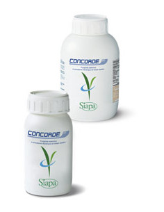 CONCORDE 40 EW LT.1 - EMERALD Miglior Prezzo