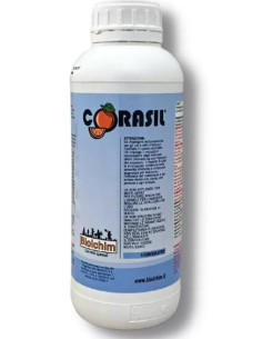 CORASIL BIOLCHIM LT.5 Miglior Prezzo