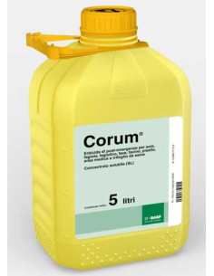 CORUM BASF LT.5 Miglior Prezzo