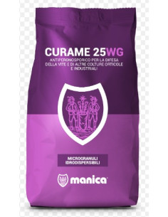 CURAME 25 WG KG.1 Miglior Prezzo