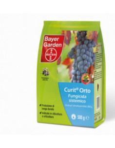 CURIT ORTO GR.500 Miglior Prezzo