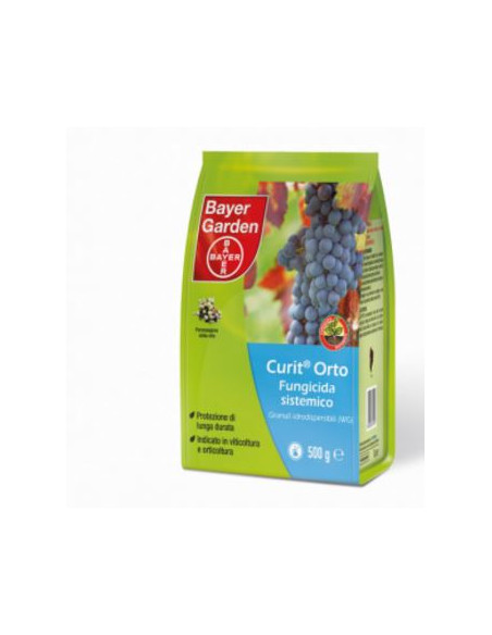 CURIT ORTO GR.500 Miglior Prezzo