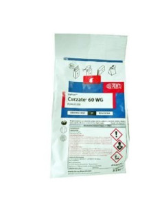 CURZATE 60WG GR.400 Miglior Prezzo