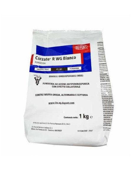 CURZATE R WG BIANCO KG.1 Miglior Prezzo