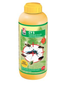 CY5 LT.1 Miglior Prezzo